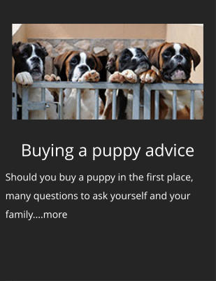 Buying a puppy advice Should you buy a puppy in the first place, many questions to ask yourself and your family....more