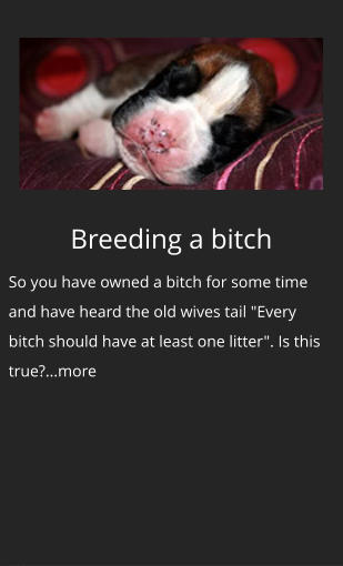 Breeding a bitch So you have owned a bitch for some time and have heard the old wives tail "Every bitch should have at least one litter". Is this true?...more